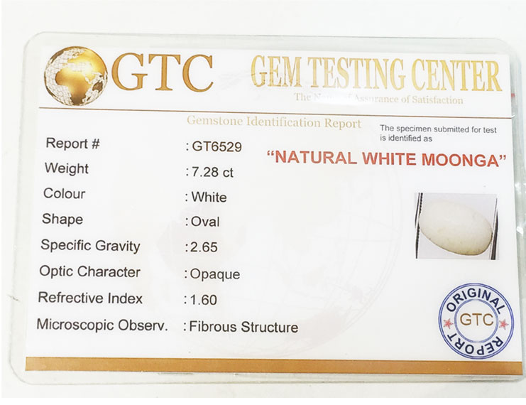 8.25 ratti/7.28 ct Natural Certified  White Coral/सफ़ेद मूंगा